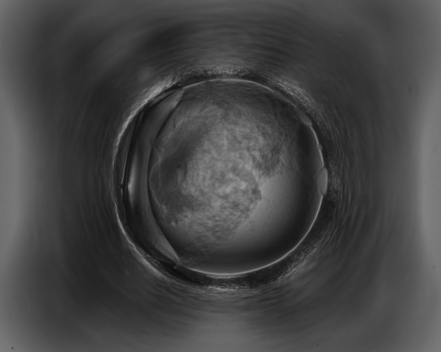 X0000087740630200705071053