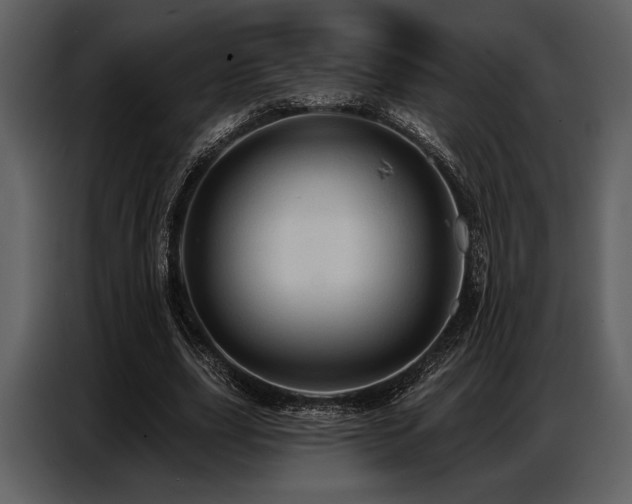 X0000087740631200705071053