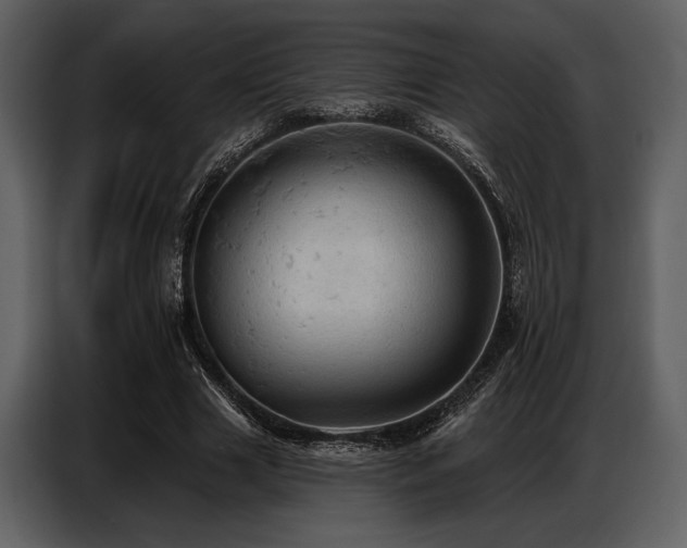 X0000087740633200705071053