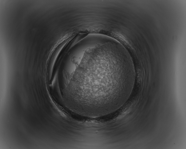 X0000087740634200705071053