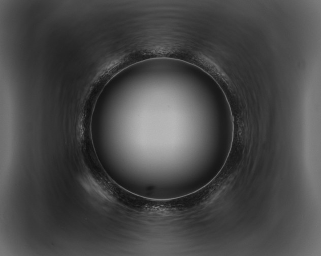X0000087740635200705071053