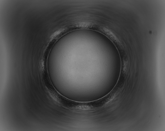 X0000087740636200705071053