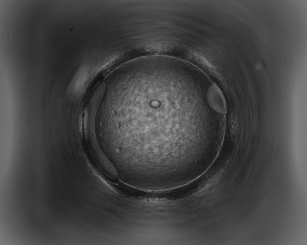 X0000087740637200705071053