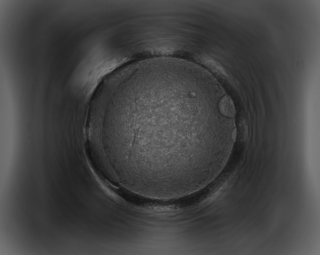 X0000087740638200705071053