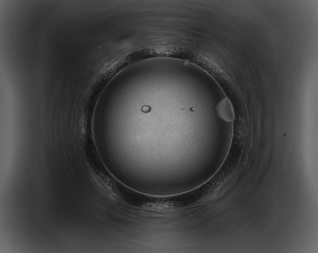 X0000087740639200705071053