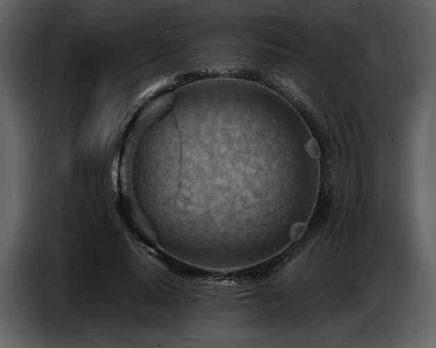 X0000087740640200705071053