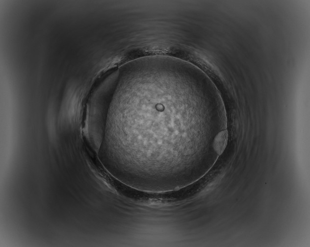 X0000087740641200705071053