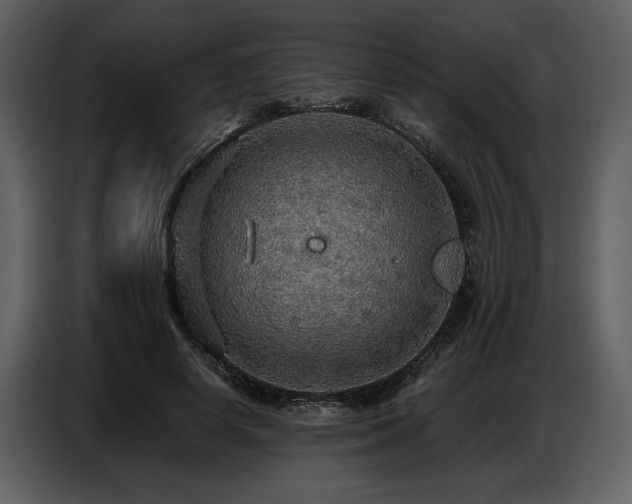 X0000087740642200705071053