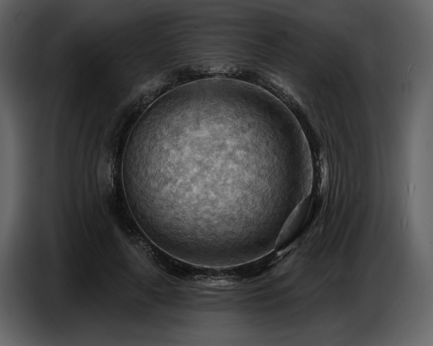 X0000087740643200705071053