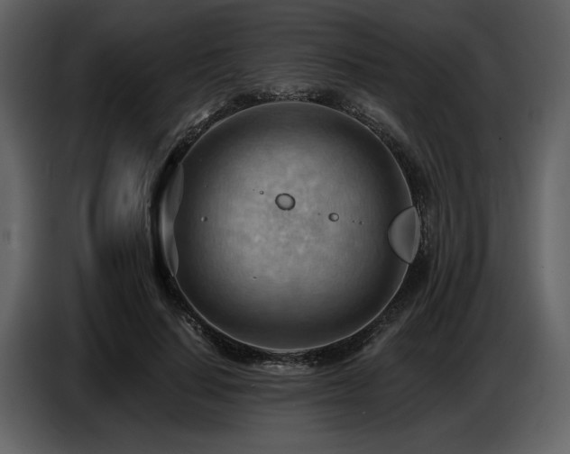 X0000087740644200705071053