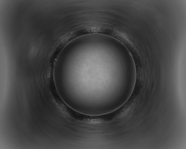 X0000087740645200705071053