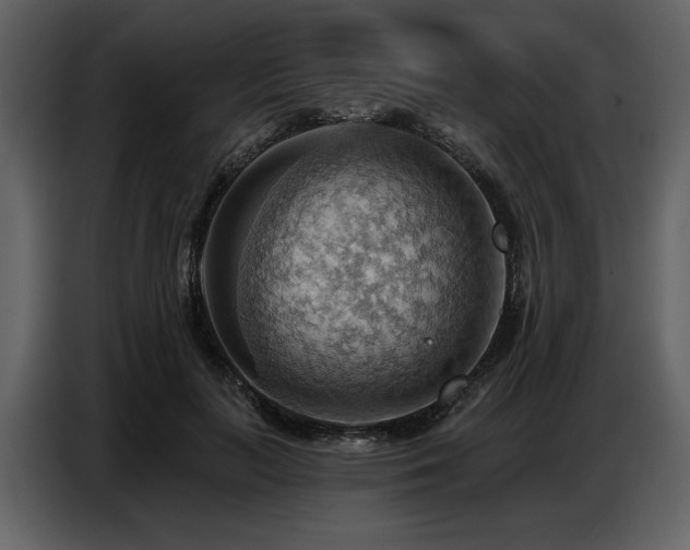 X0000087740647200705071053