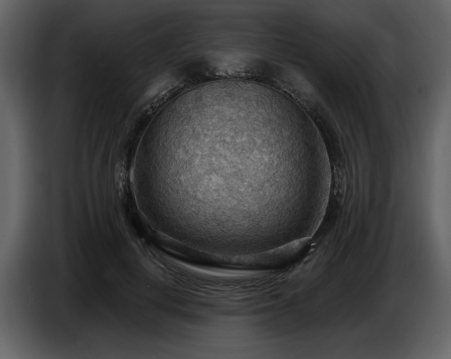 X0000087740648200705071053