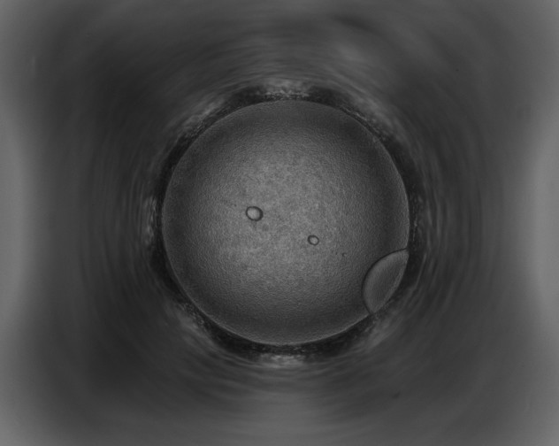 X0000087740649200705071053