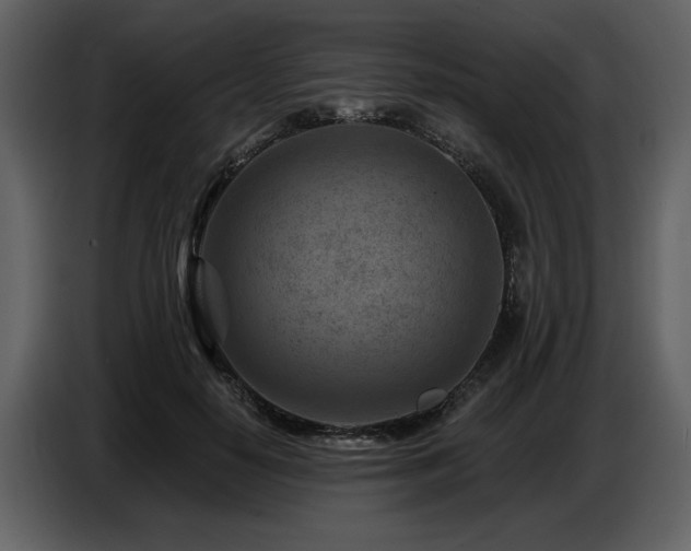 X0000087740650200705071053