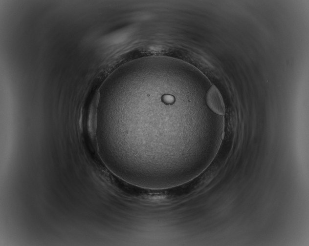 X0000087740651200705071053