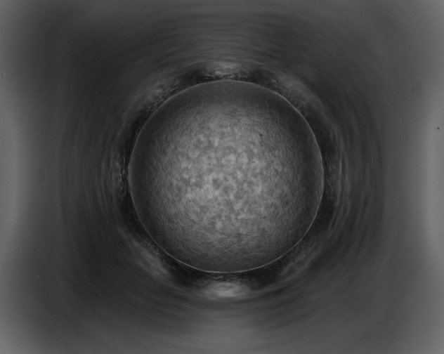 X0000087740653200705071053