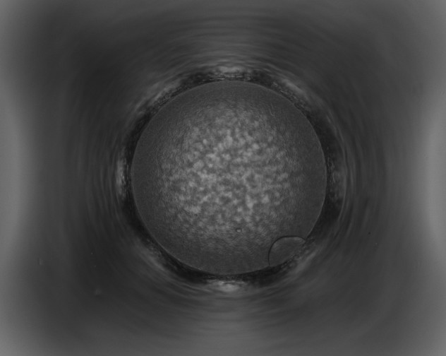 X0000087740654200705071053
