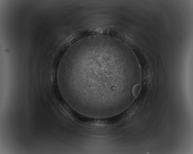X0000087740656200705071053