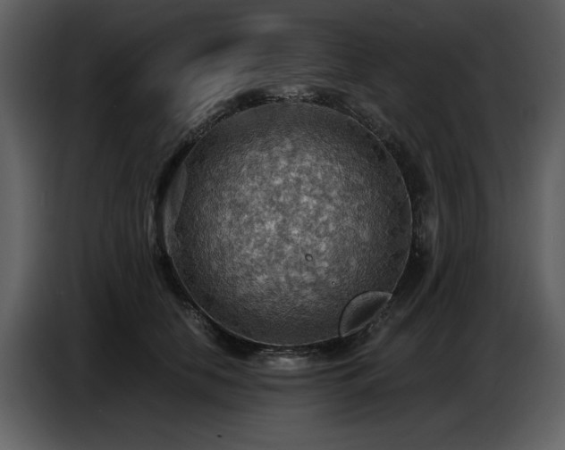 X0000087740658200705071053