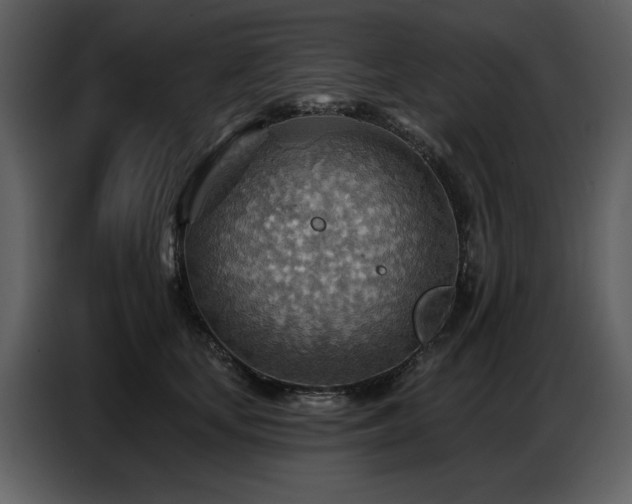 X0000087740659200705071053