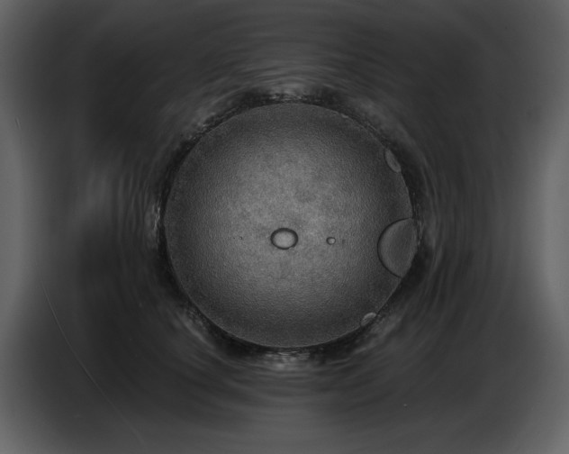 X0000087740660200705071053