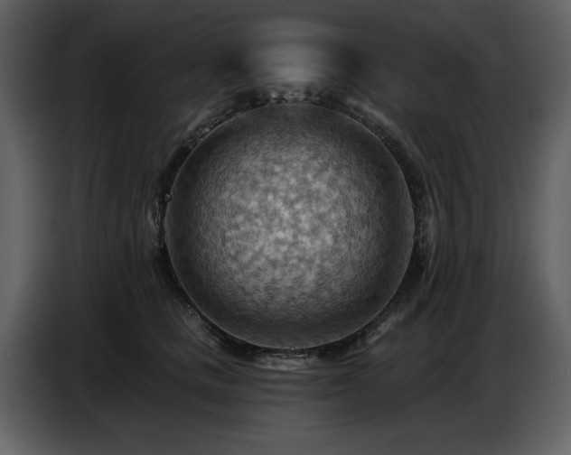X0000087740661200705071053