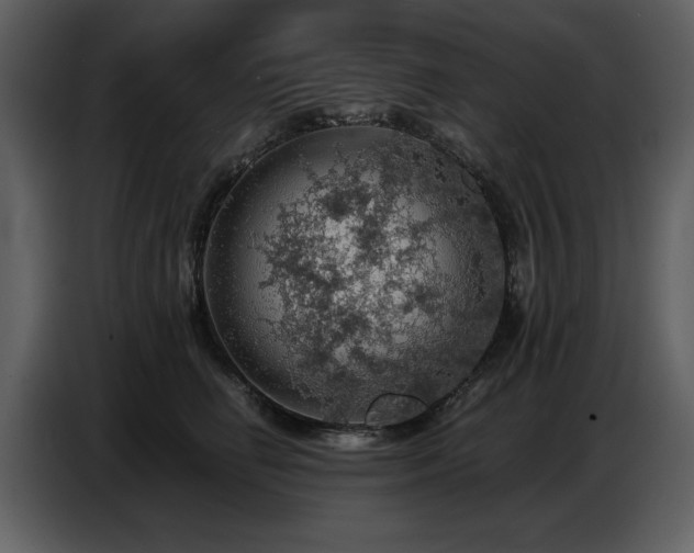 X0000087740662200705071053