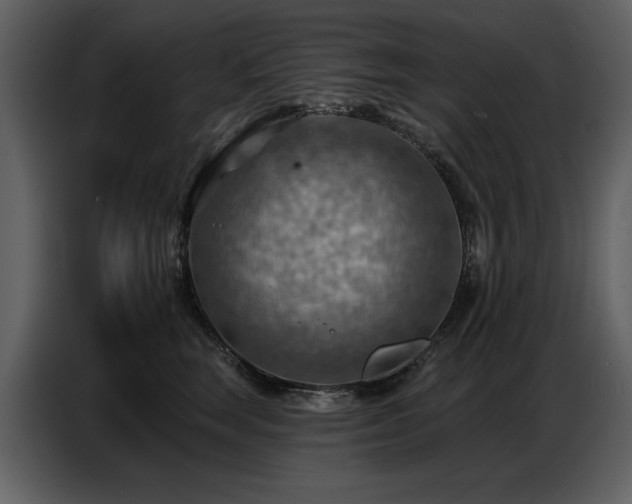 X0000087740663200705071054
