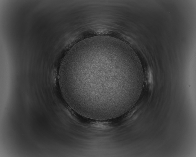 X0000087740664200705071054
