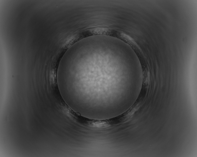 X0000087740669200705071054