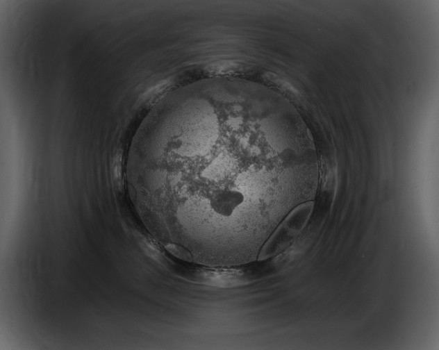 X0000087740670200705071054