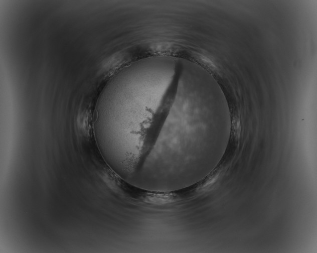X0000087740671200705071054