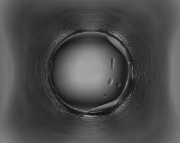 X0000087740673200705071053
