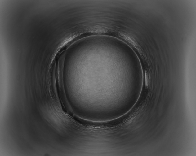 X0000087740675200705071053