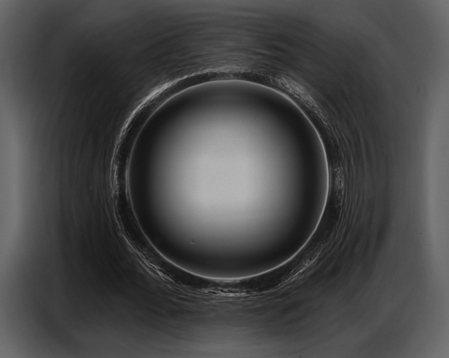 X0000087740676200705071053