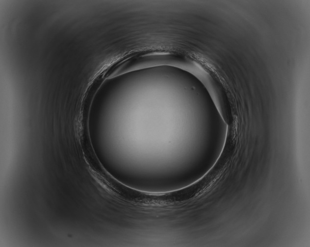 X0000087740677200705071053