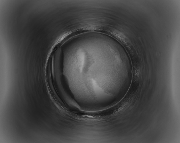 X0000087740678200705071053