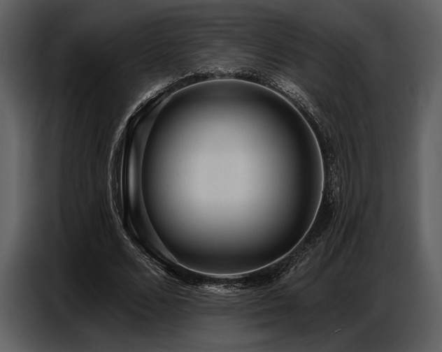 X0000087740680200705071053