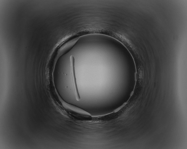 X0000087740684200705071053