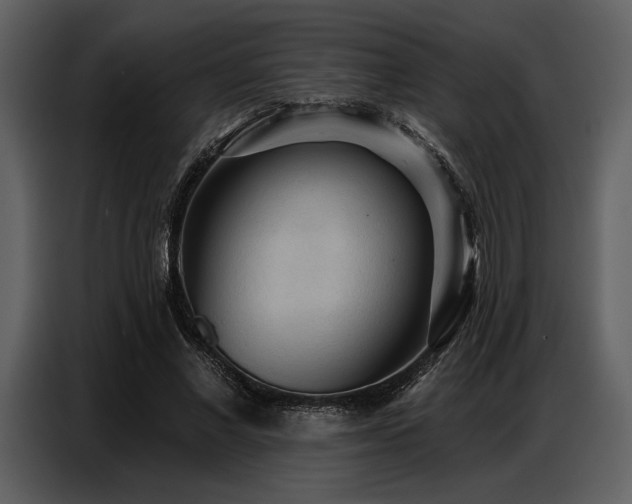 X0000087740685200705071053