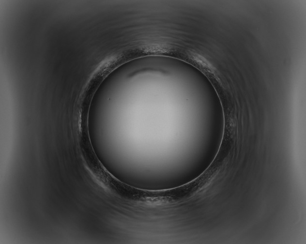 X0000087740686200705071053