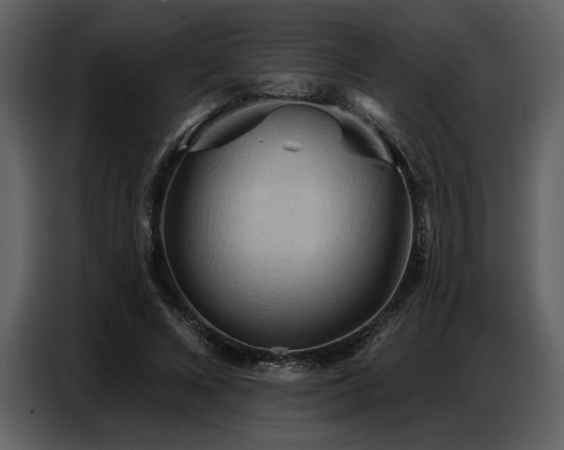 X0000087740688200705071053