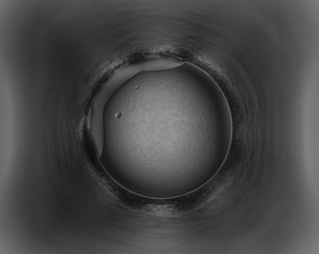 X0000087740689200705071053