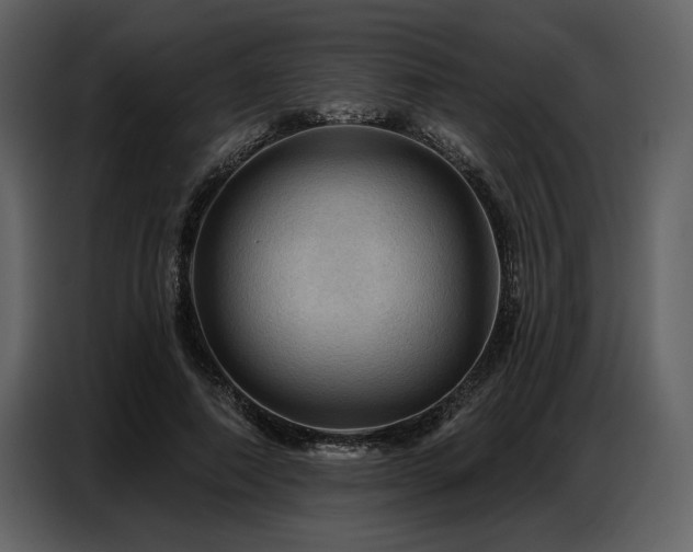 X0000087740690200705071053