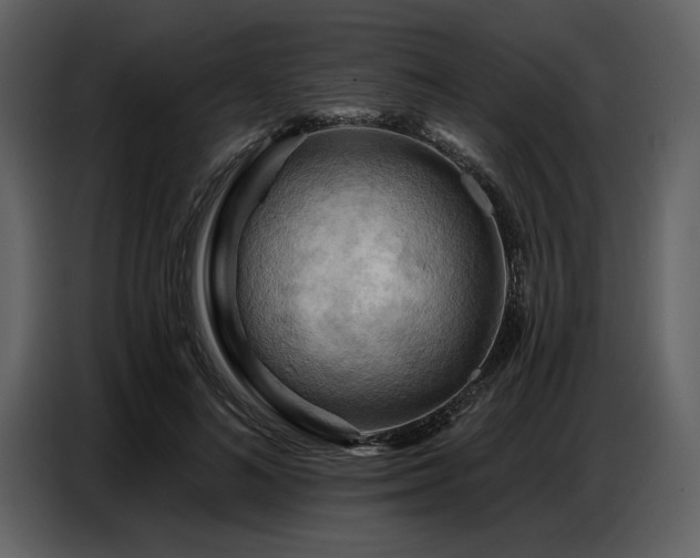 X0000087740692200705071053