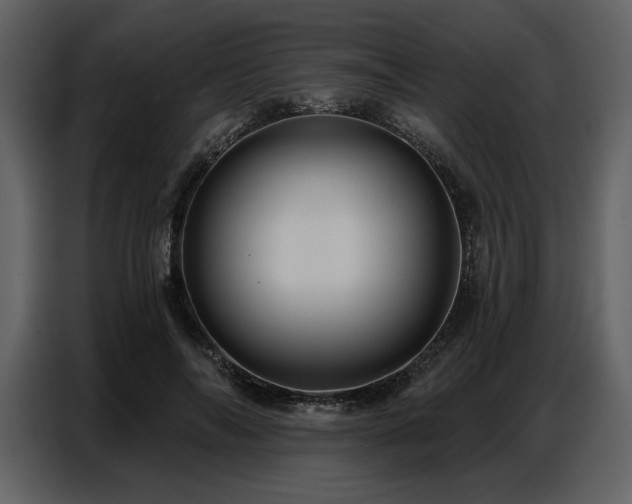 X0000087740694200705071053