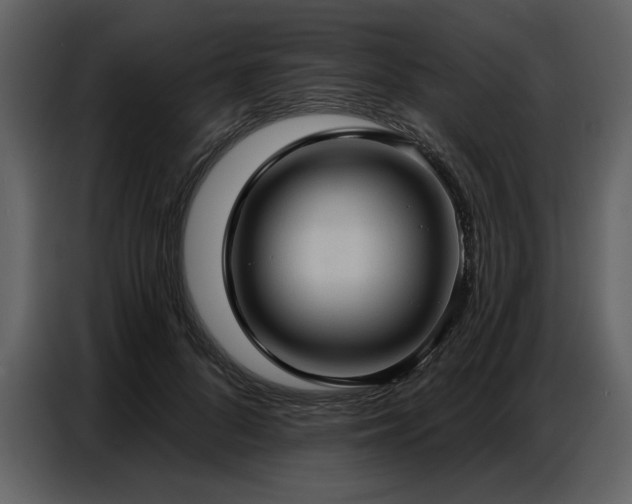 X0000087740696200705071053