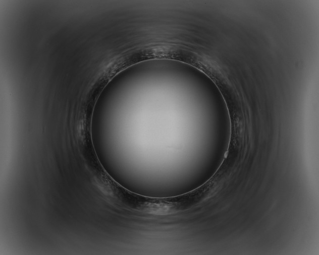 X0000087740698200705071053