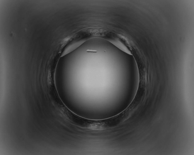 X0000087740700200705071053